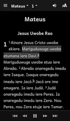 Bororo Bible (Boe Wadáru) android App screenshot 1